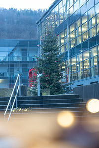 Frohe Weihnachten!