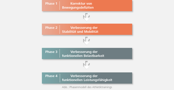 Das Phasenmodell des Athletiktrainings Das Phasenmodell des Athletiktrainings